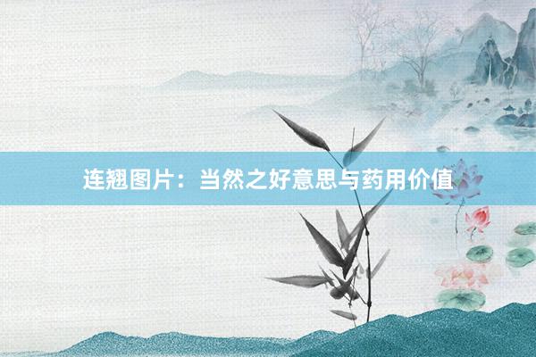连翘图片：当然之好意思与药用价值