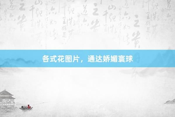 各式花图片，通达娇媚寰球